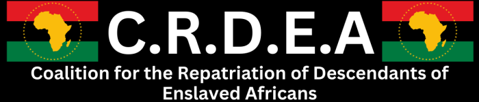 Banner-e1704228560555.png